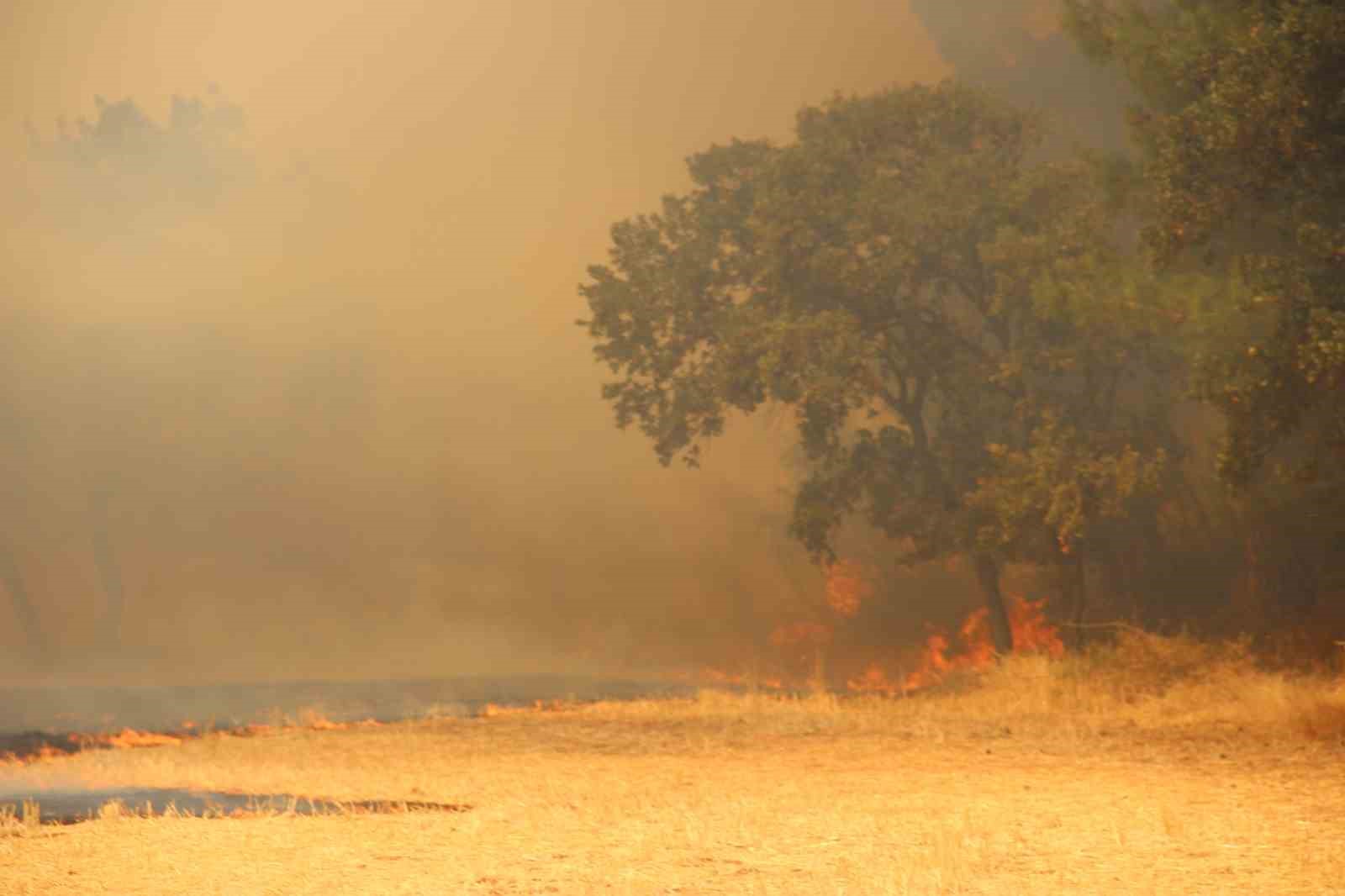 Bayrami&ccedil;&rsquo;te 3 k&ouml;y tahliye edildi
