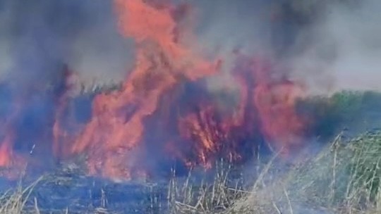 Van&rsquo;da Er&ccedil;ek G&ouml;l&uuml; sazlıklarında yangın
