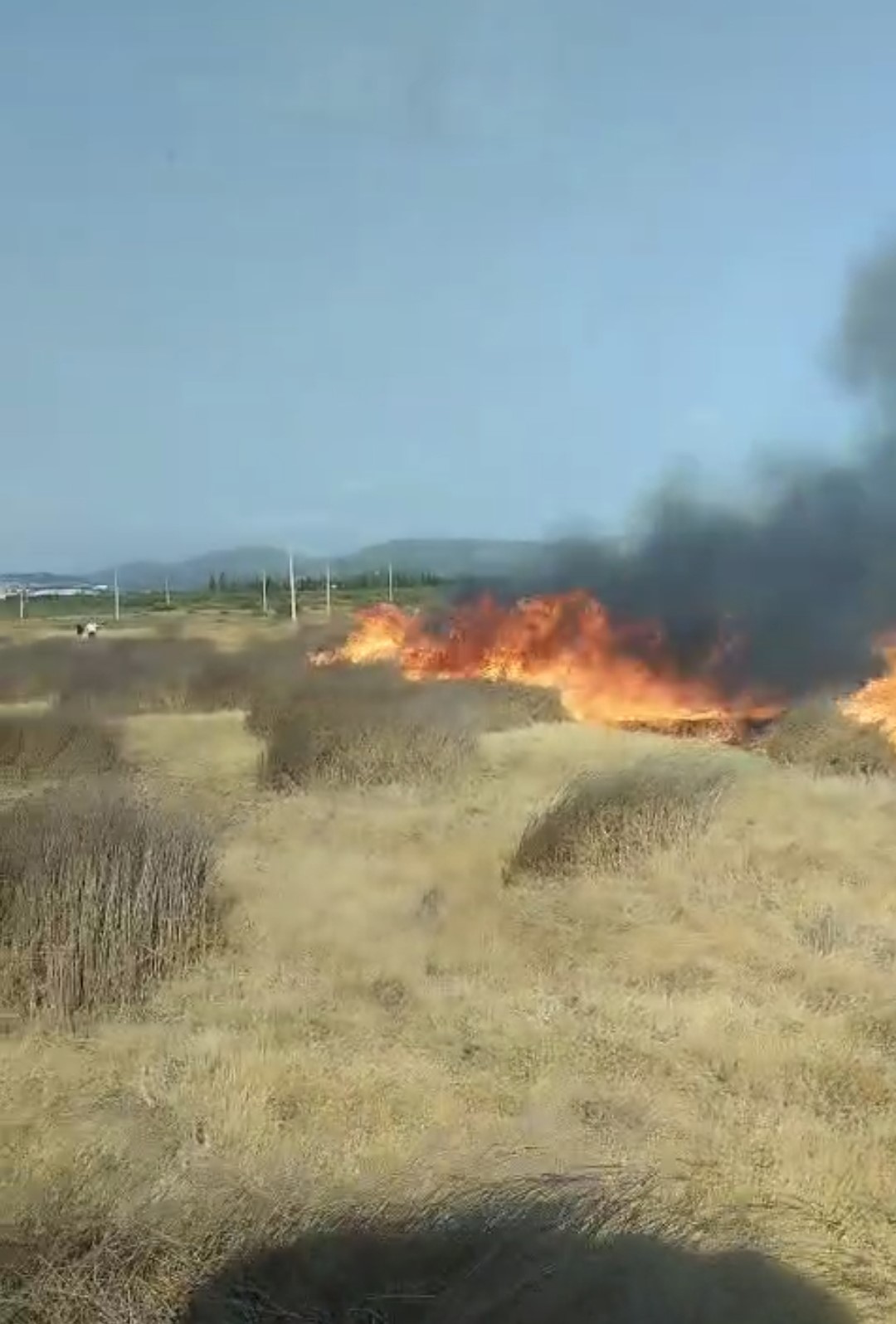 G&ouml;me&ccedil;&rsquo;te arazi yangını: Ekiplerin m&uuml;dahalesi s&uuml;r&uuml;yor
