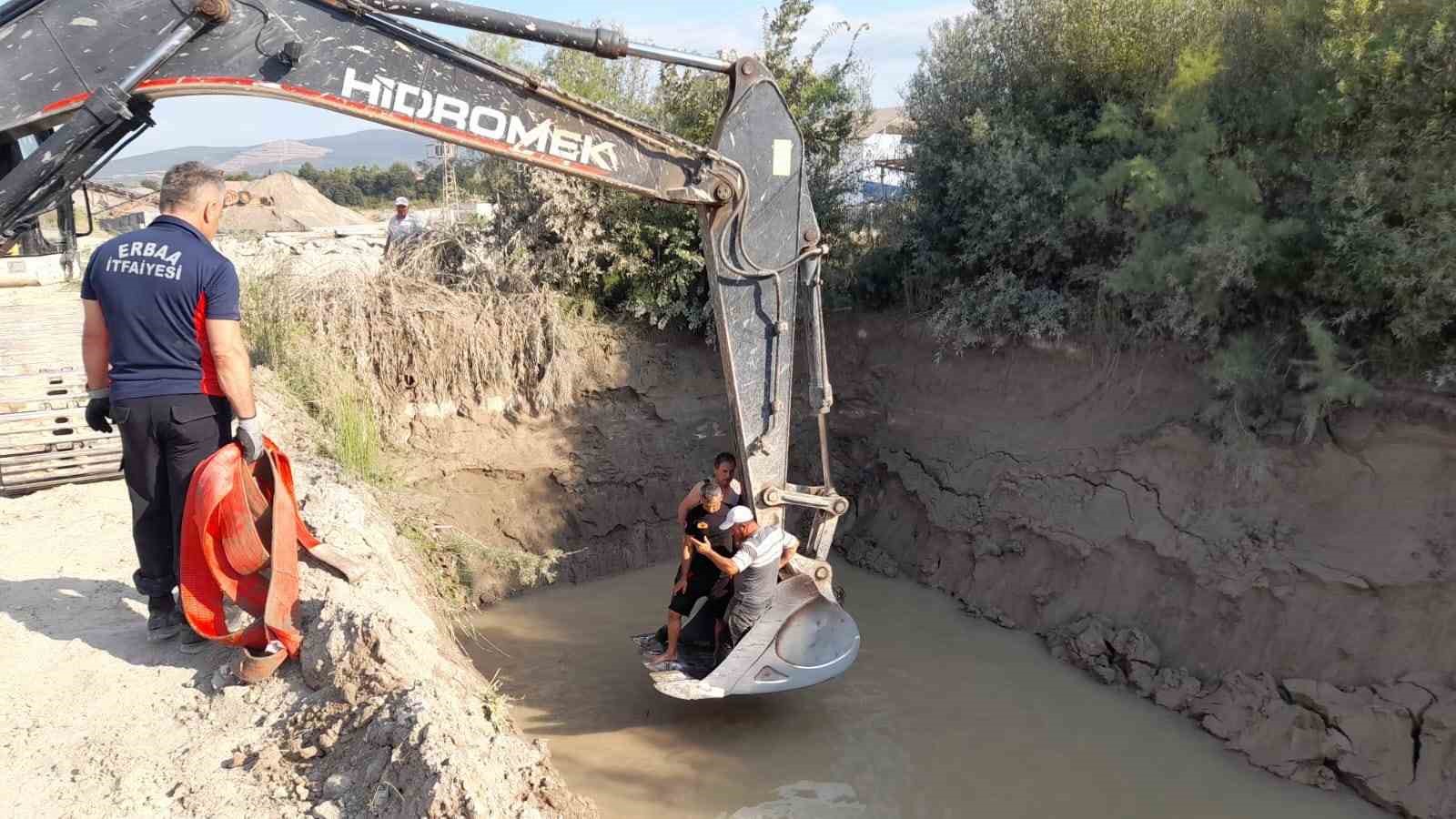 Gölete düşen inekler kepçe ile kurtarıldı