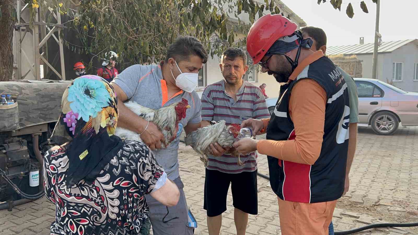 Saçaklı köyünde evi ve damı yanan kadının dumandan etkilenen tavuklarının yardımına ekipler ve gönüllüler koştu