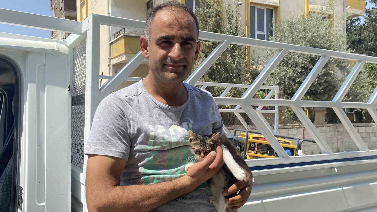 Ağaçta mahsur kalan yavru kedi vatandaşın dikkatiyle kurtarıldı