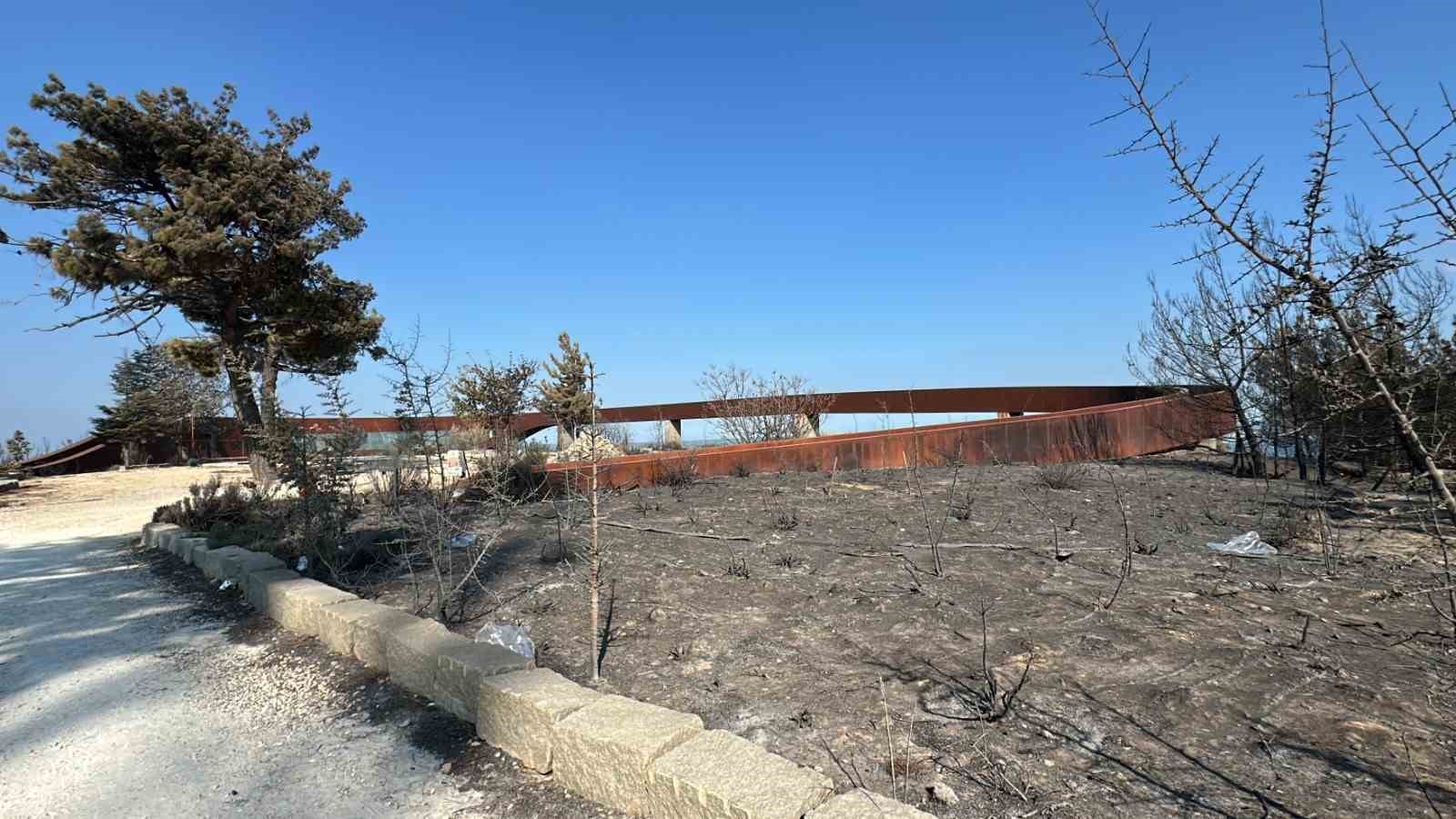 &Ccedil;anakkale&rsquo;de yaşanan orman yangınında yanan yerler dron ile g&ouml;r&uuml;nt&uuml;lendi
