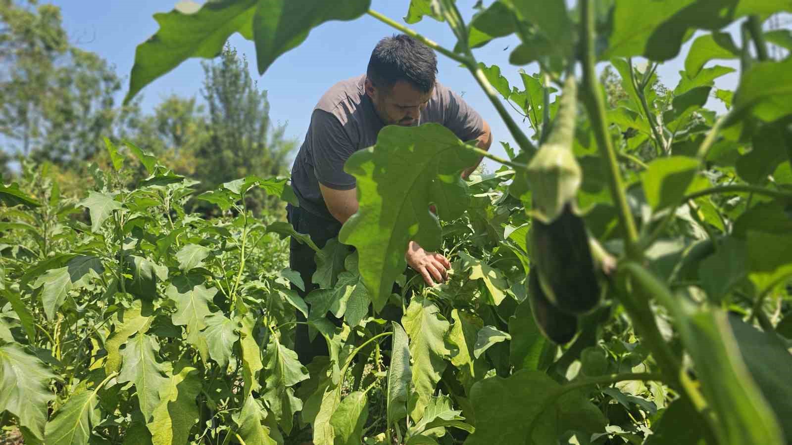 Baba mesleğini bıraktı, 25 yıldır toprağa emek veriyor