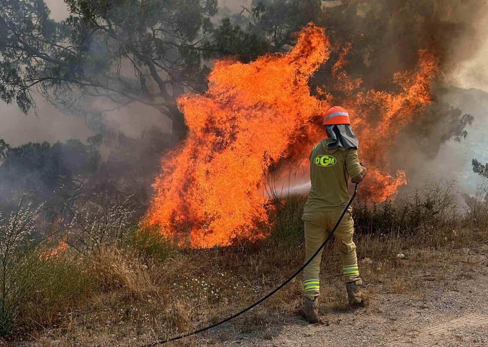 Aydın’da ormanlar için kırmızı alarm