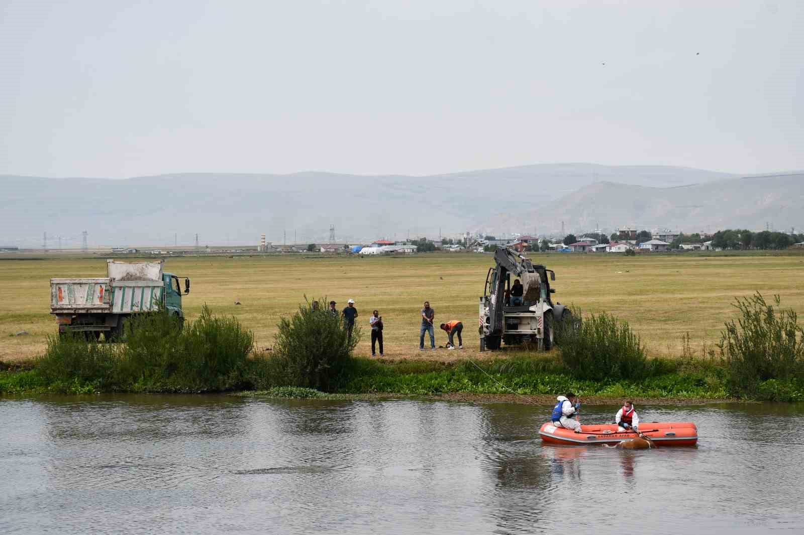 Kura nehrine d&uuml;şerek boğulan inek can verdi
