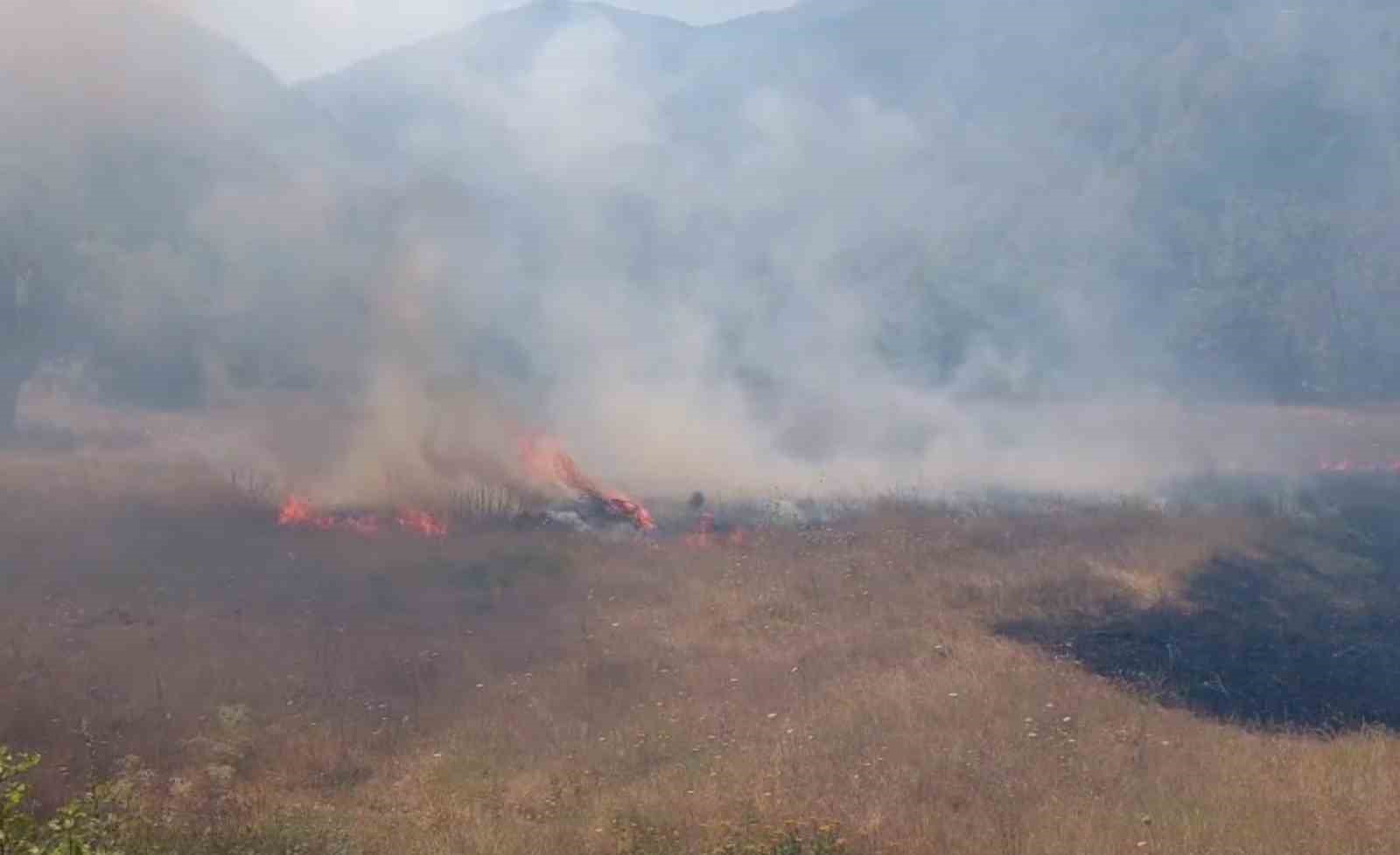 Tarlada çıkan yangın samanlığı küle çevirdi