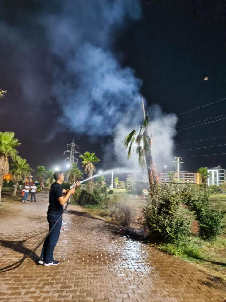 Mardin&rsquo;de palmiye ağacı ateşe verildi
