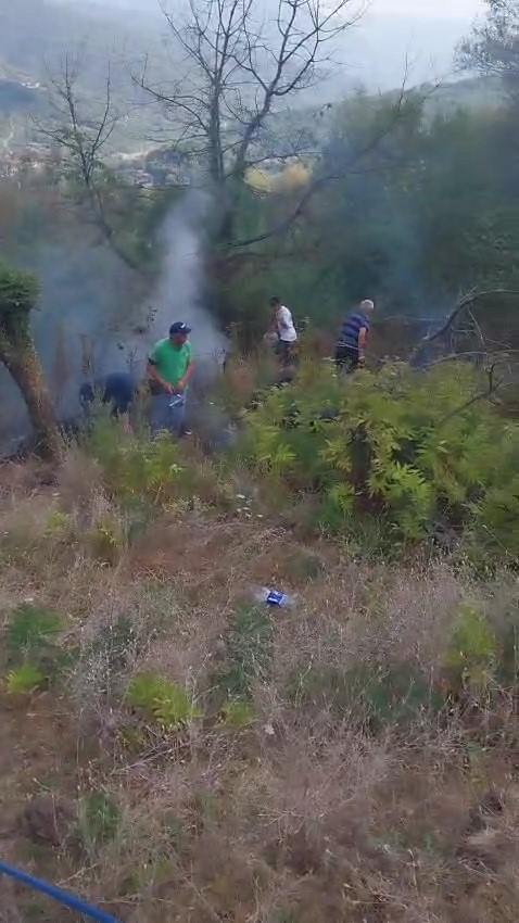 Otluk alanda &ccedil;ıkan yangın evlere ve ormanlık alana sı&ccedil;ramadan s&ouml;nd&uuml;r&uuml;ld&uuml;
