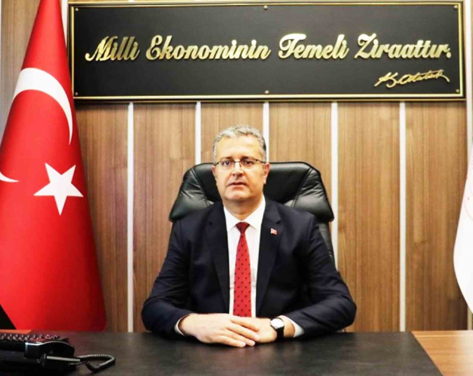 Samsun&rsquo;da fındık hasadı başladı: File y&ouml;ntemi maliyeti d&uuml;ş&uuml;r&uuml;yor, kaliteyi artırıyor
