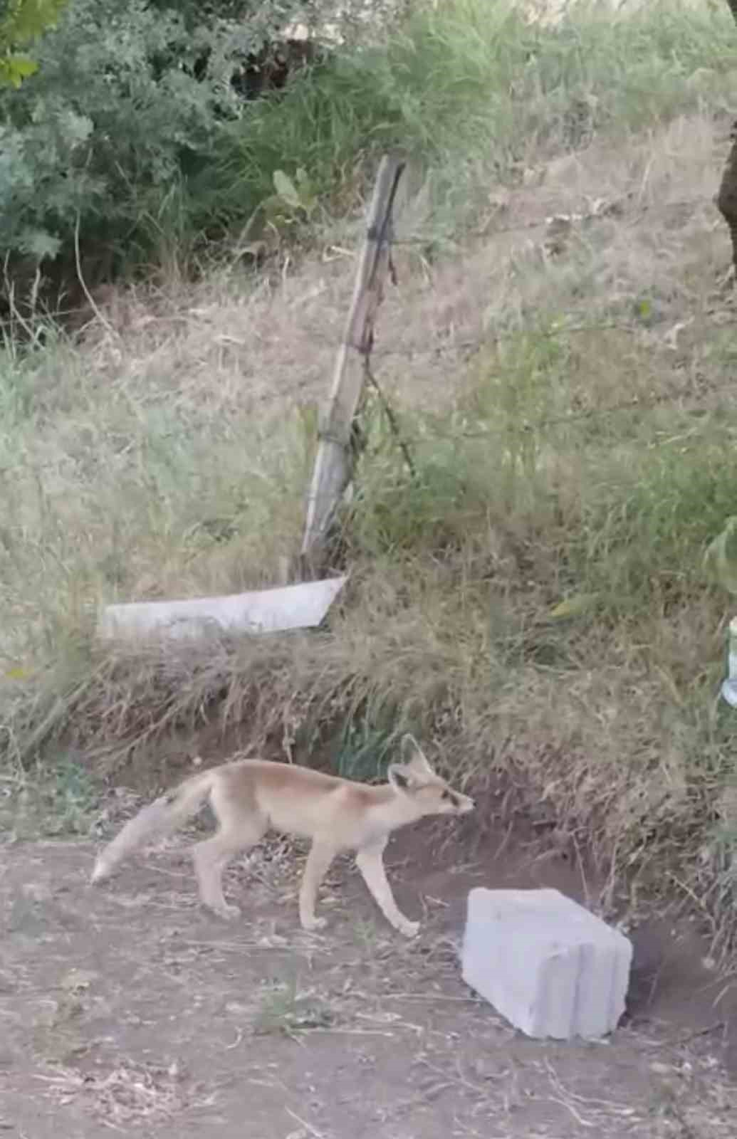 İlhan &ouml;ğretmenden anlamlı davranış
