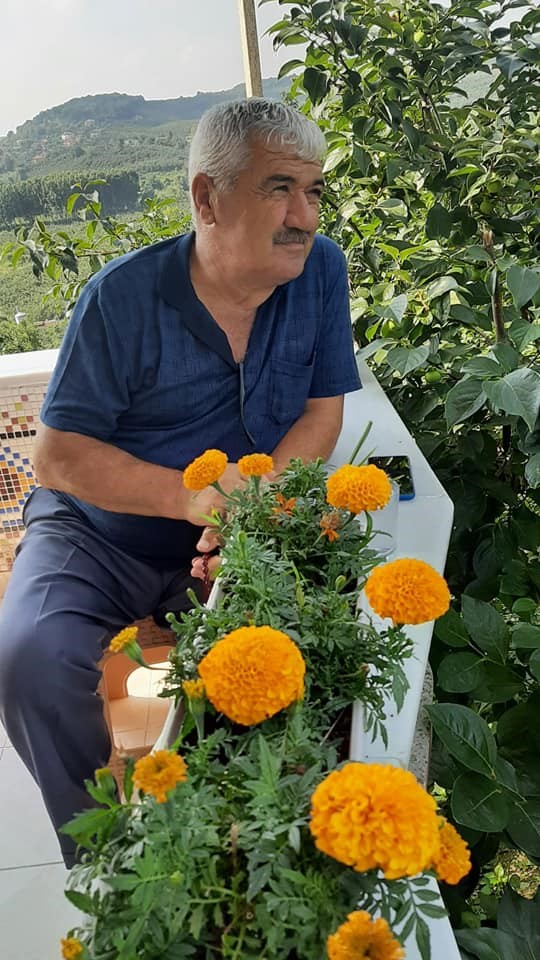 &Ccedil;ıktığı erik ağacı sonu oldu
