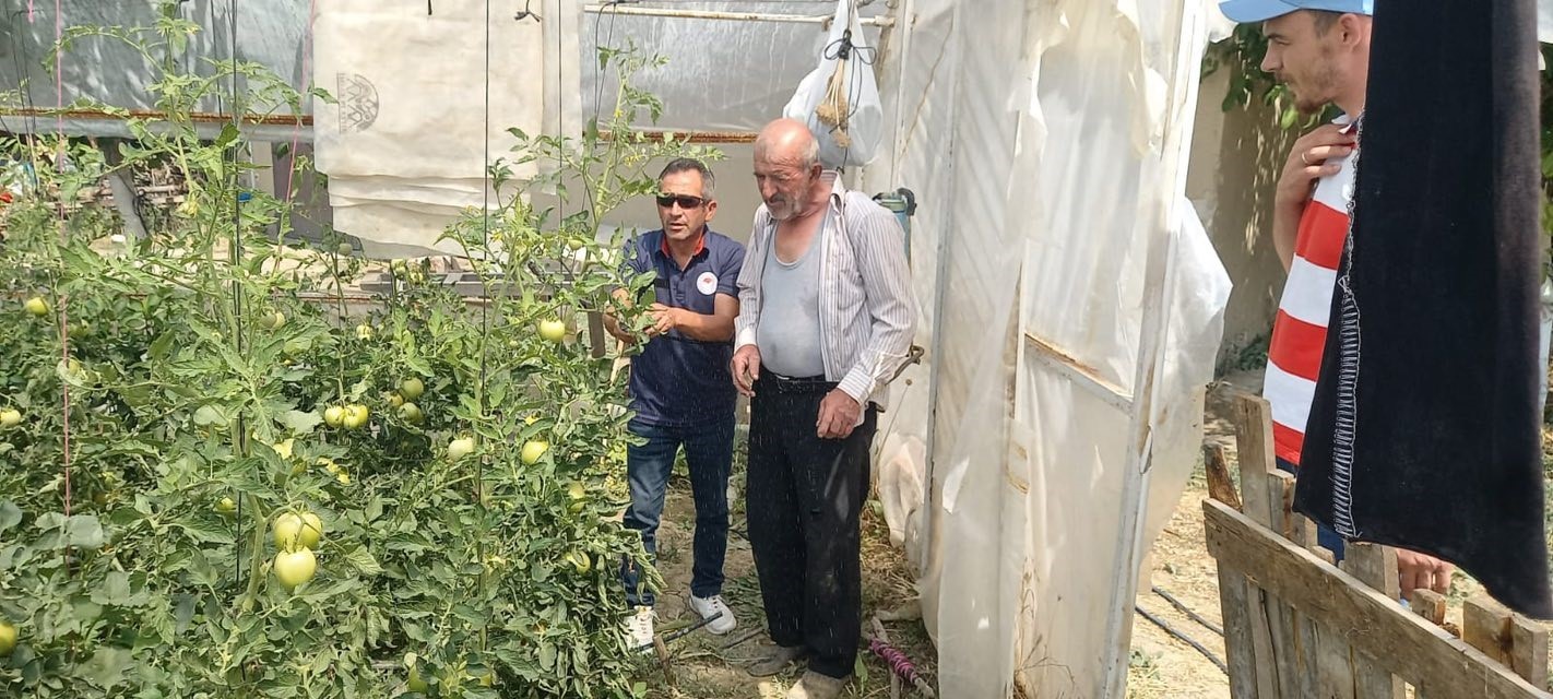 Tavşanlı’da seralarda bitki hastalık ve zararlı kontrolleri