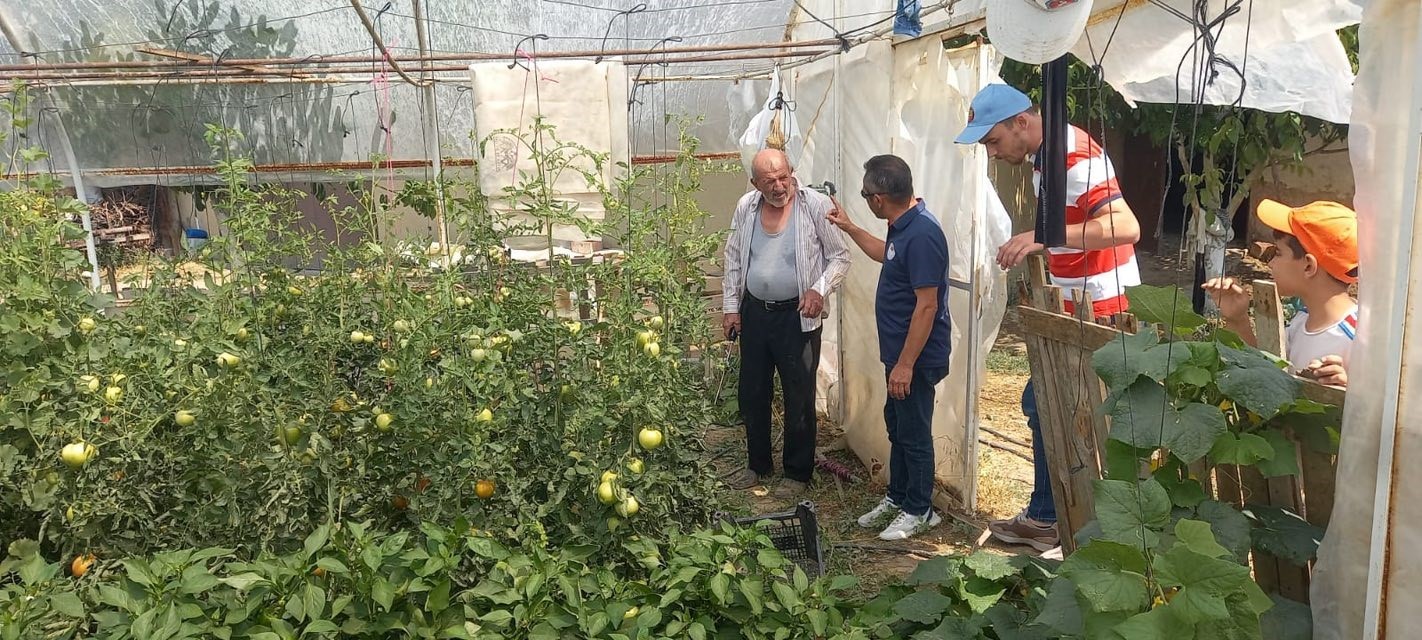 Tavşanlı&rsquo;da seralarda bitki hastalık ve zararlı kontrolleri
