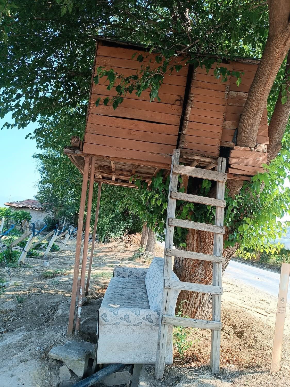 Sarıg&ouml;l&rsquo;&uuml;n ağa&ccedil;kondusu ilgi &ccedil;ekmeye devam ediyor
