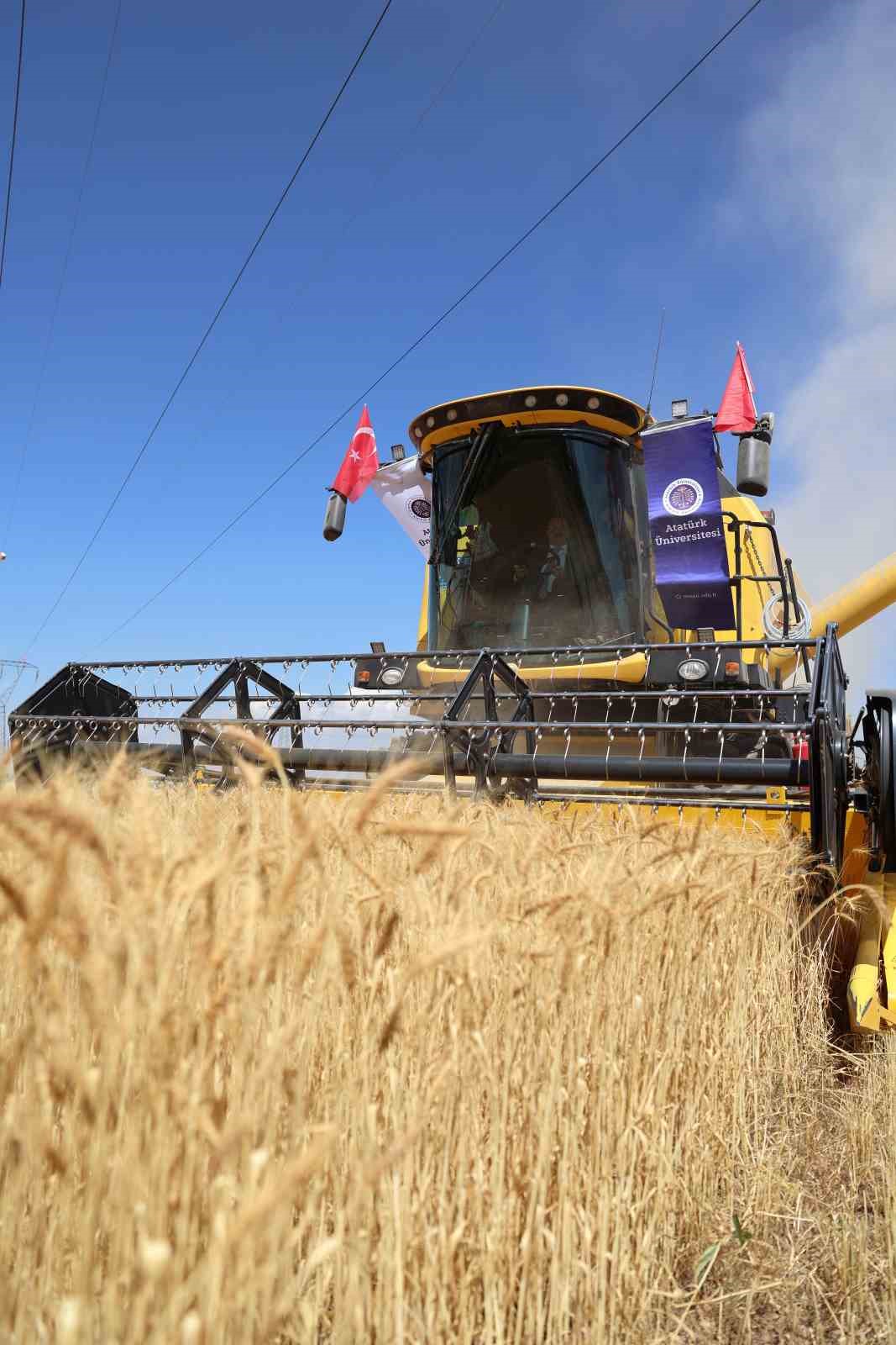 Rekt&ouml;r Hacım&uuml;ft&uuml;oğlu: "Tarım, geleceğe umut ekmektir"

