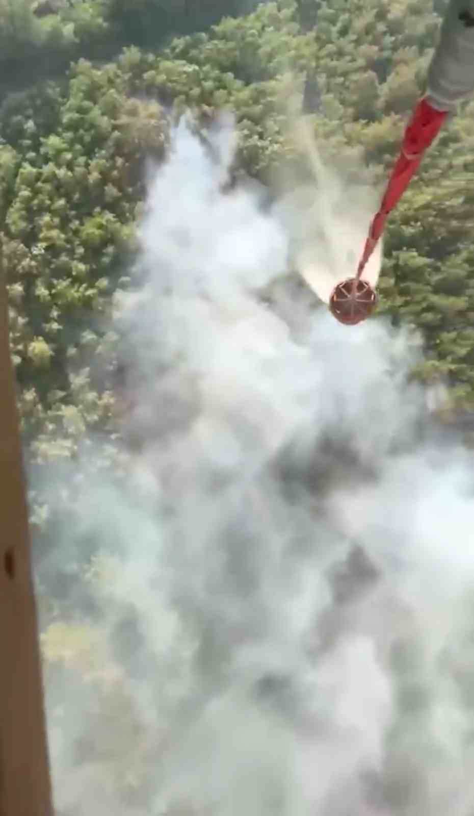 &Ccedil;anakkale&rsquo;de &ccedil;ıkan orman yangınlarına jandarma m&uuml;dahalesi
