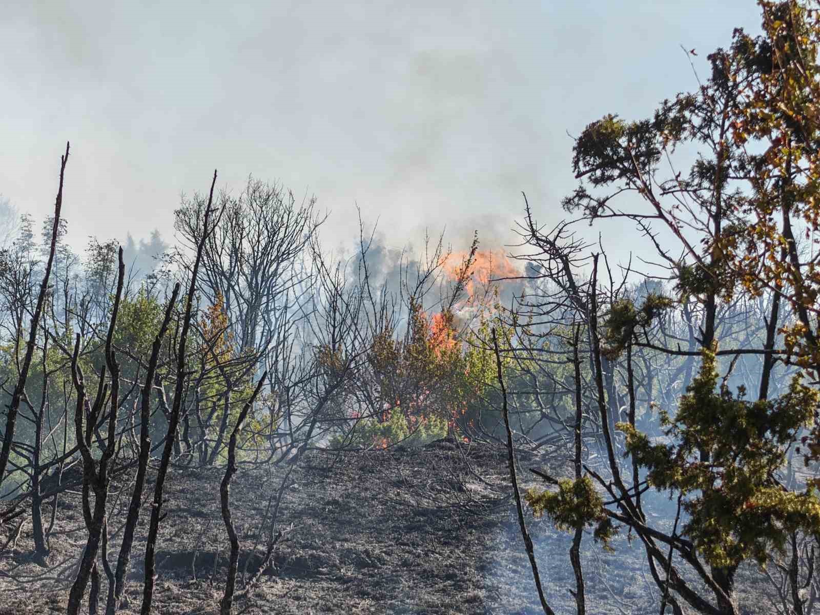 Malkara’da makilik alanda yangın