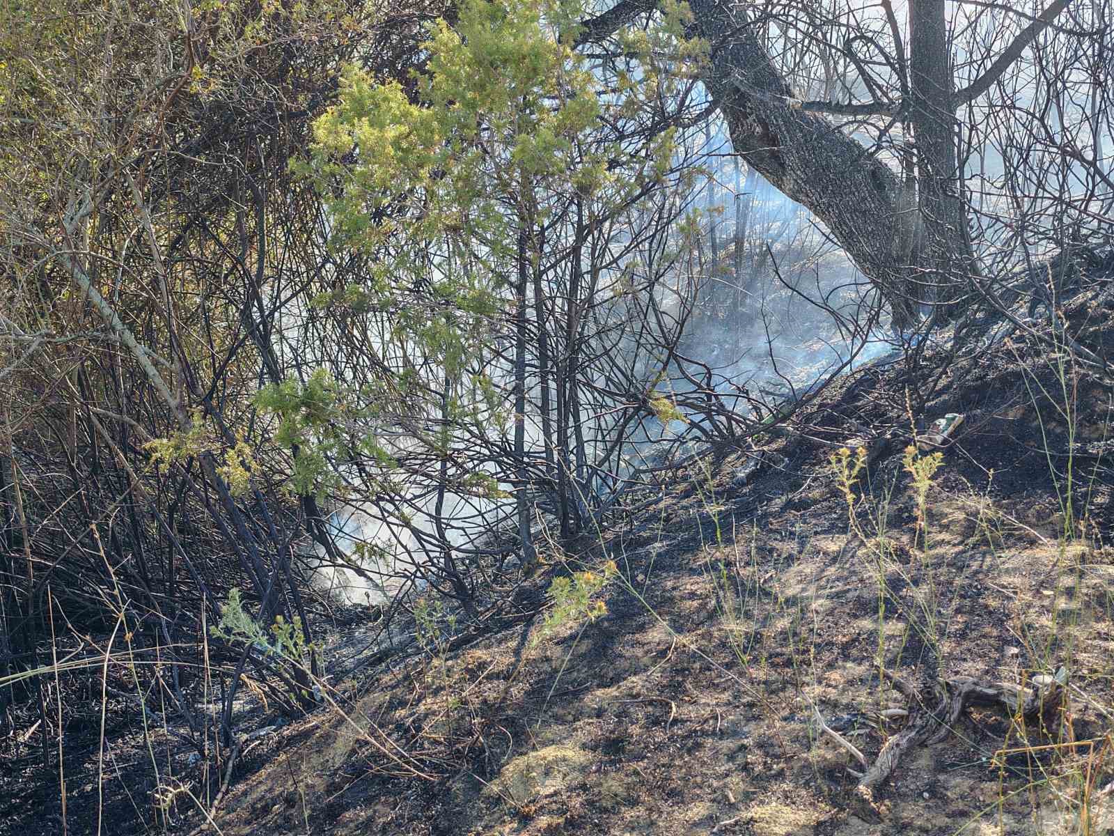 Malkara&rsquo;da makilik alanda yangın
