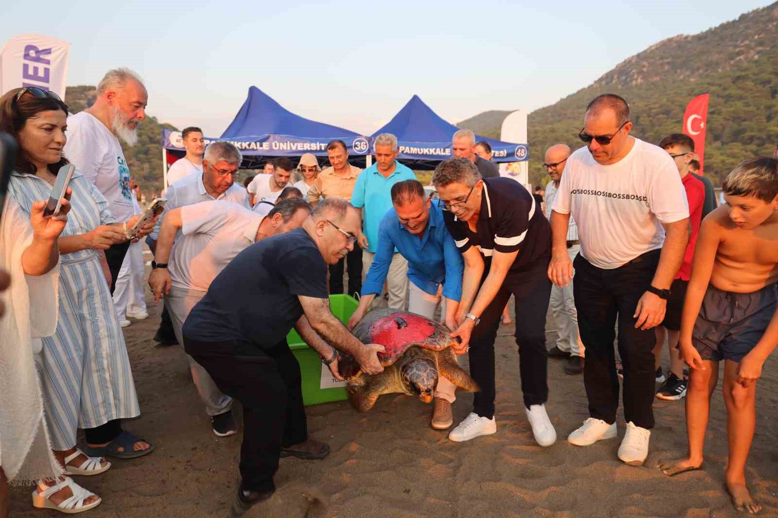 ‘Tuba’ya ikinci kez uydu takip cihazı takıldı