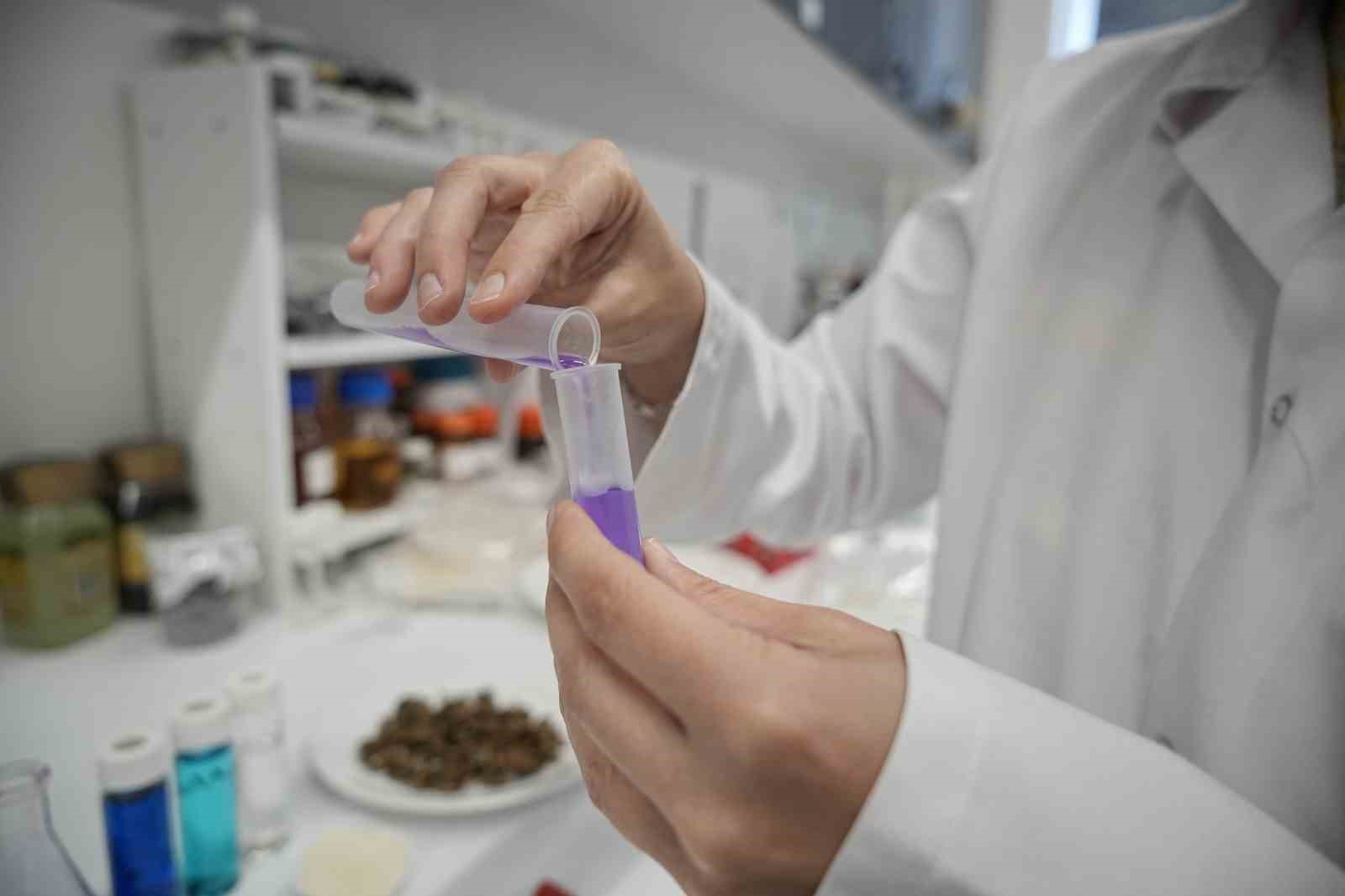 Zehir akan Nil&uuml;fer &Ccedil;ayı&rsquo;nda &ccedil;&ouml;z&uuml;m organik atık, tekstil atıklarında y&uuml;zde y&uuml;z sonu&ccedil; alındı
