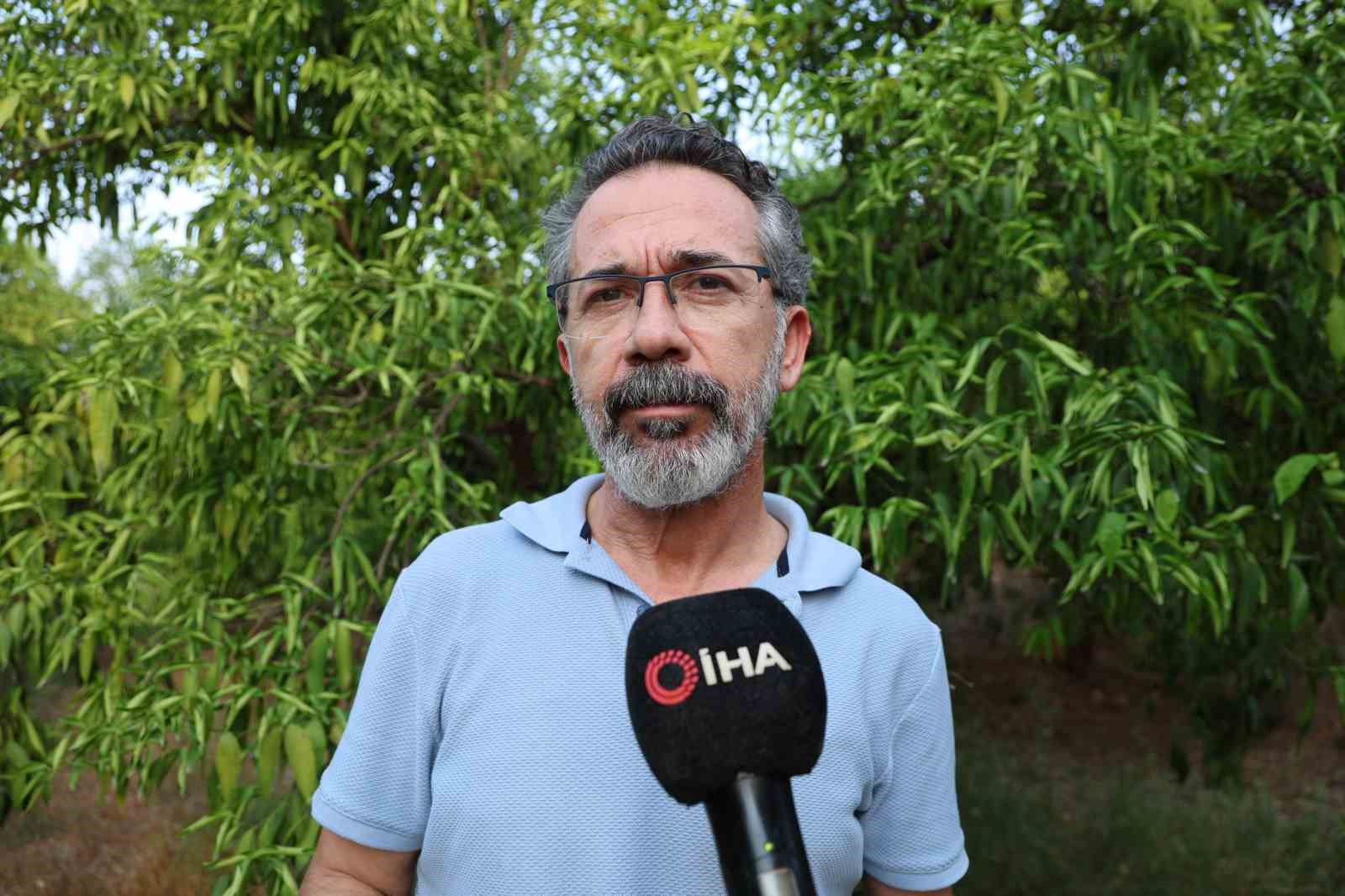 Kuraklık narenciye bahçelerini tehdit etmeye başladı 