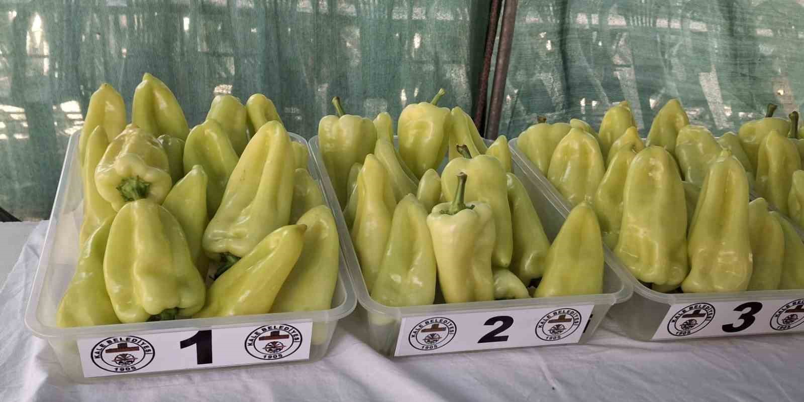 En iyi Kale Biberi yetiştiricileri ödüllendirildi