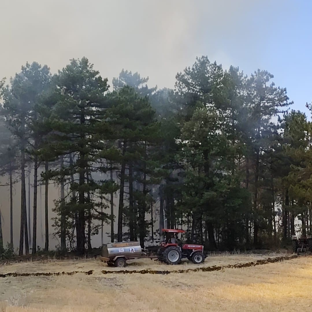 Honaz’daki orman yangınına karadan ve havadan müdahale ediliyor
