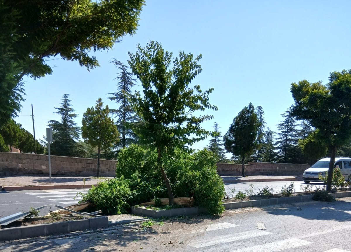 Otomobil takla attı: 1 yaralı