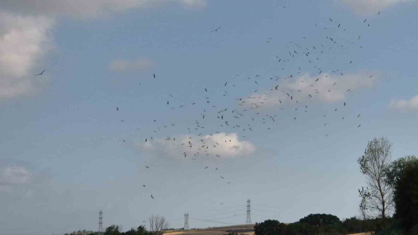 Afrika yolculuğu &ouml;ncesi binlerce leylek g&ouml;lette buluştu
