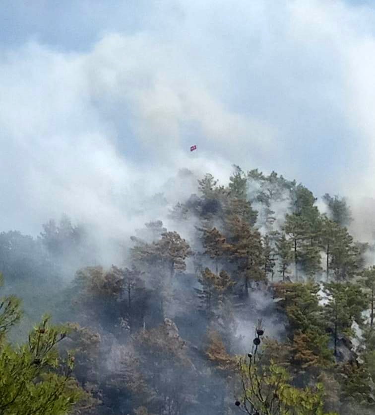 Anamur’da orman yangını