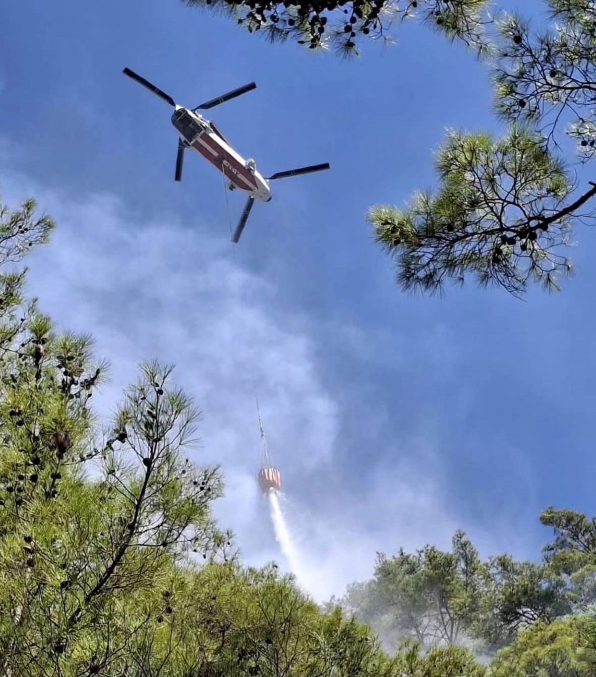 Anamur&rsquo;da orman yangını
