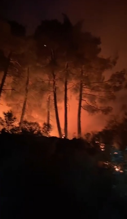 Isparta&rsquo;da &ccedil;ıkan orman yangını b&uuml;y&uuml;meden s&ouml;nd&uuml;r&uuml;ld&uuml;
