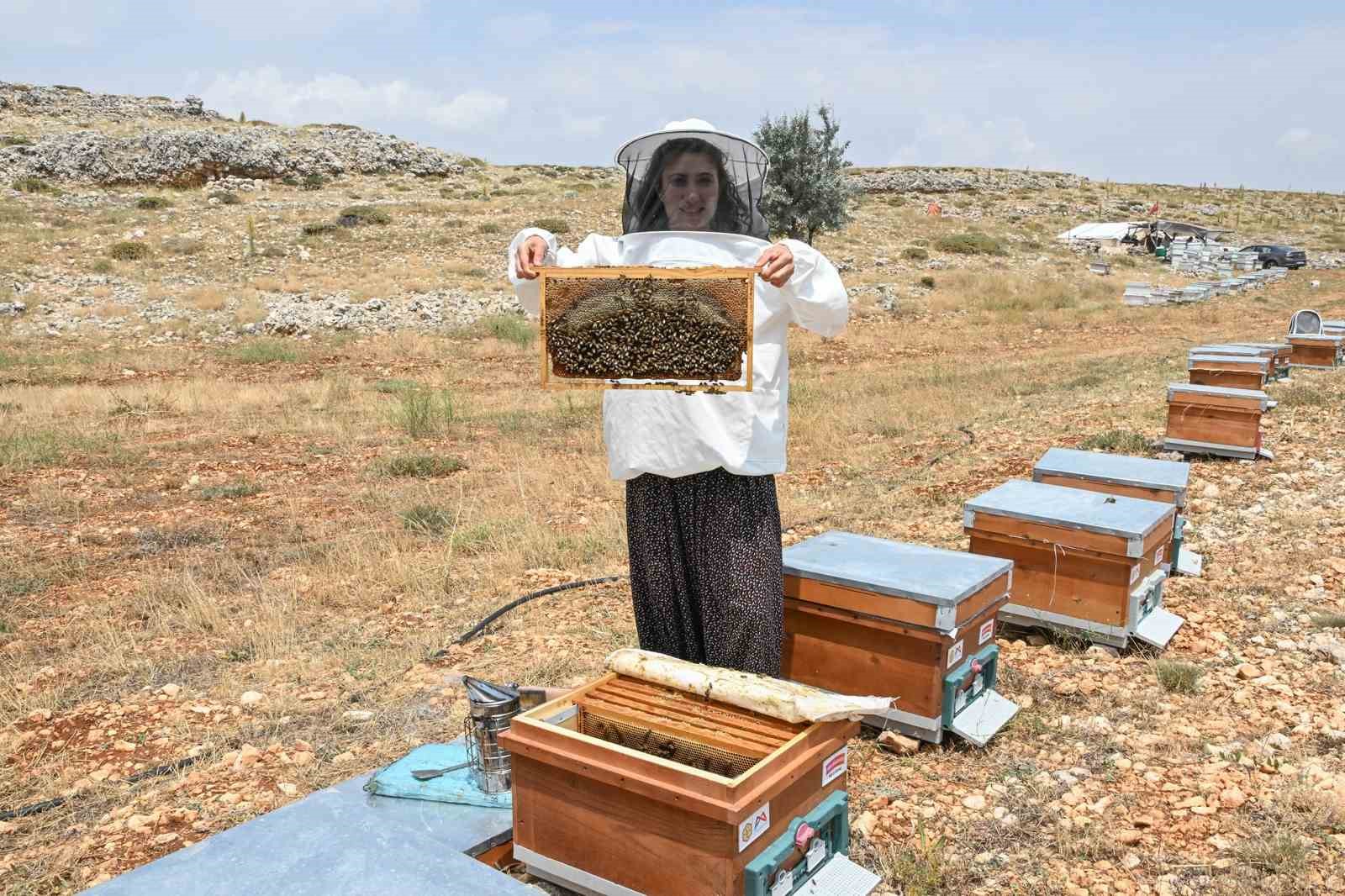 Mersin&rsquo;de &lsquo;Altın Kovan Projesi&rsquo; ile arı yetiştiriciliğine destek
