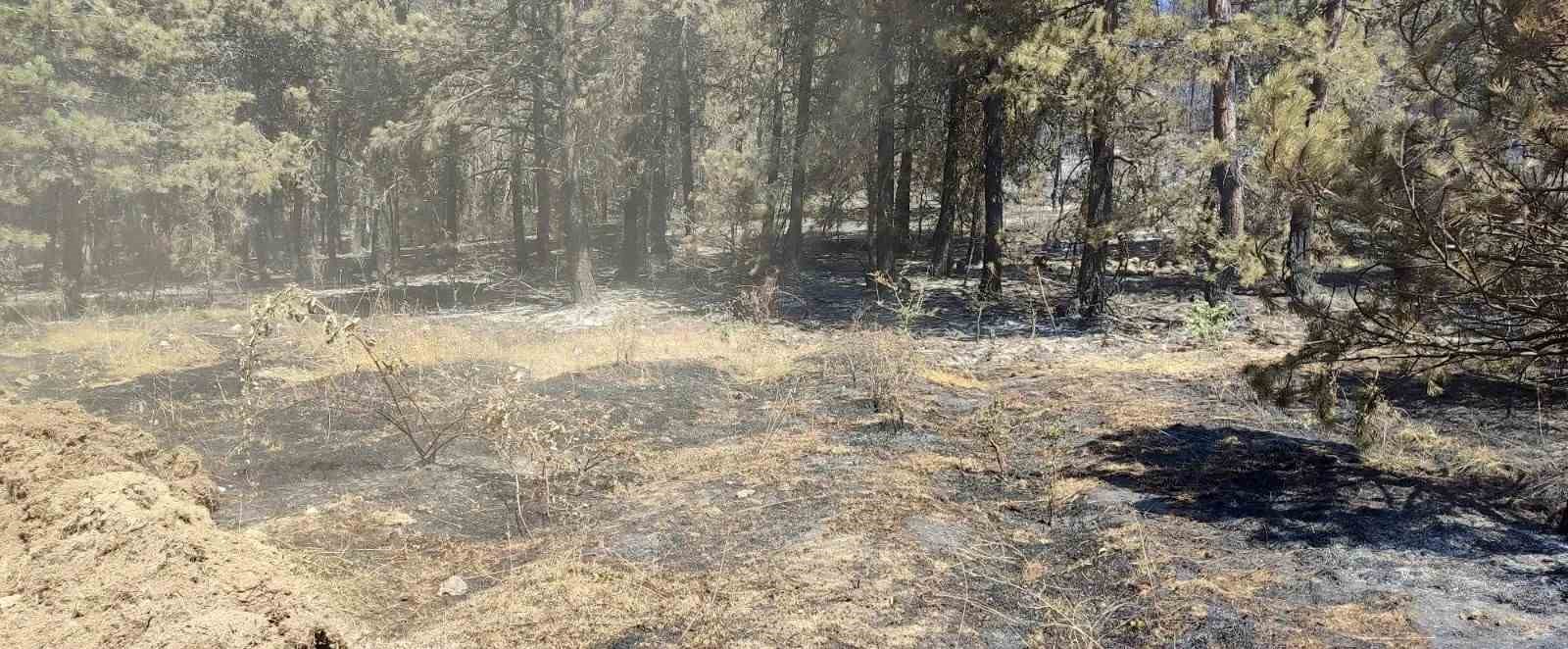 Vali Özarslan: "Yangın nedeniyle tahliye edilenler köylerine dönebilir"