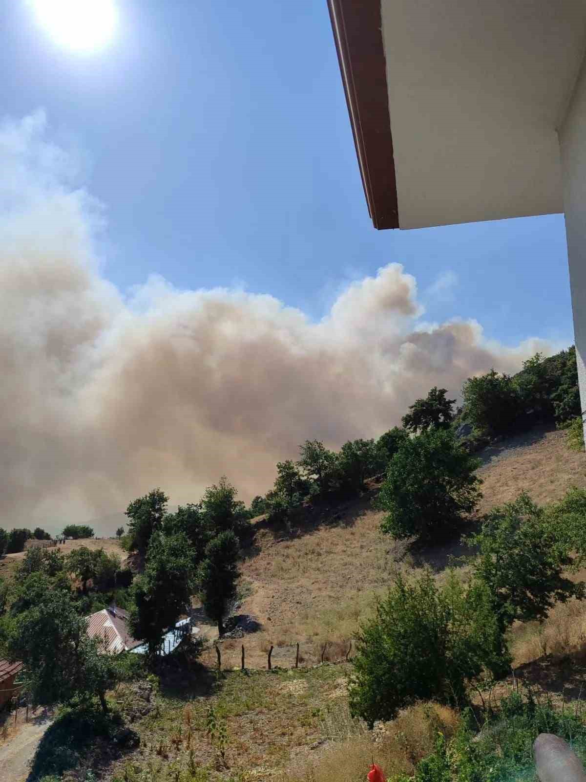 Vali Özarslan: "Yangın nedeniyle tahliye edilenler köylerine dönebilir"