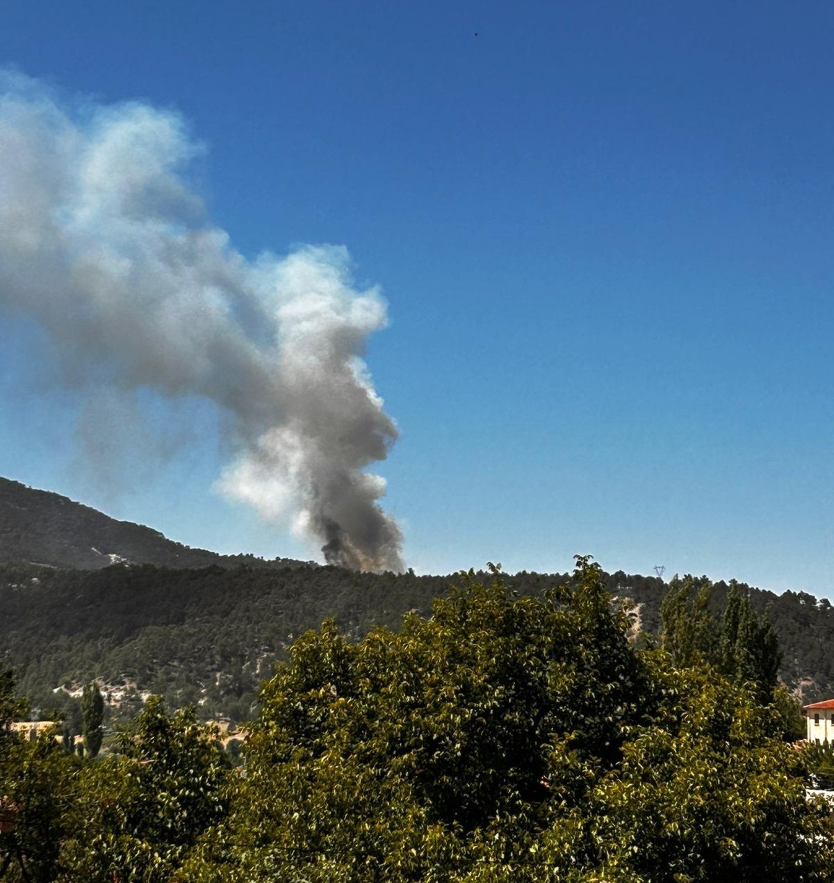 Honaz&rsquo;da orman yangını
