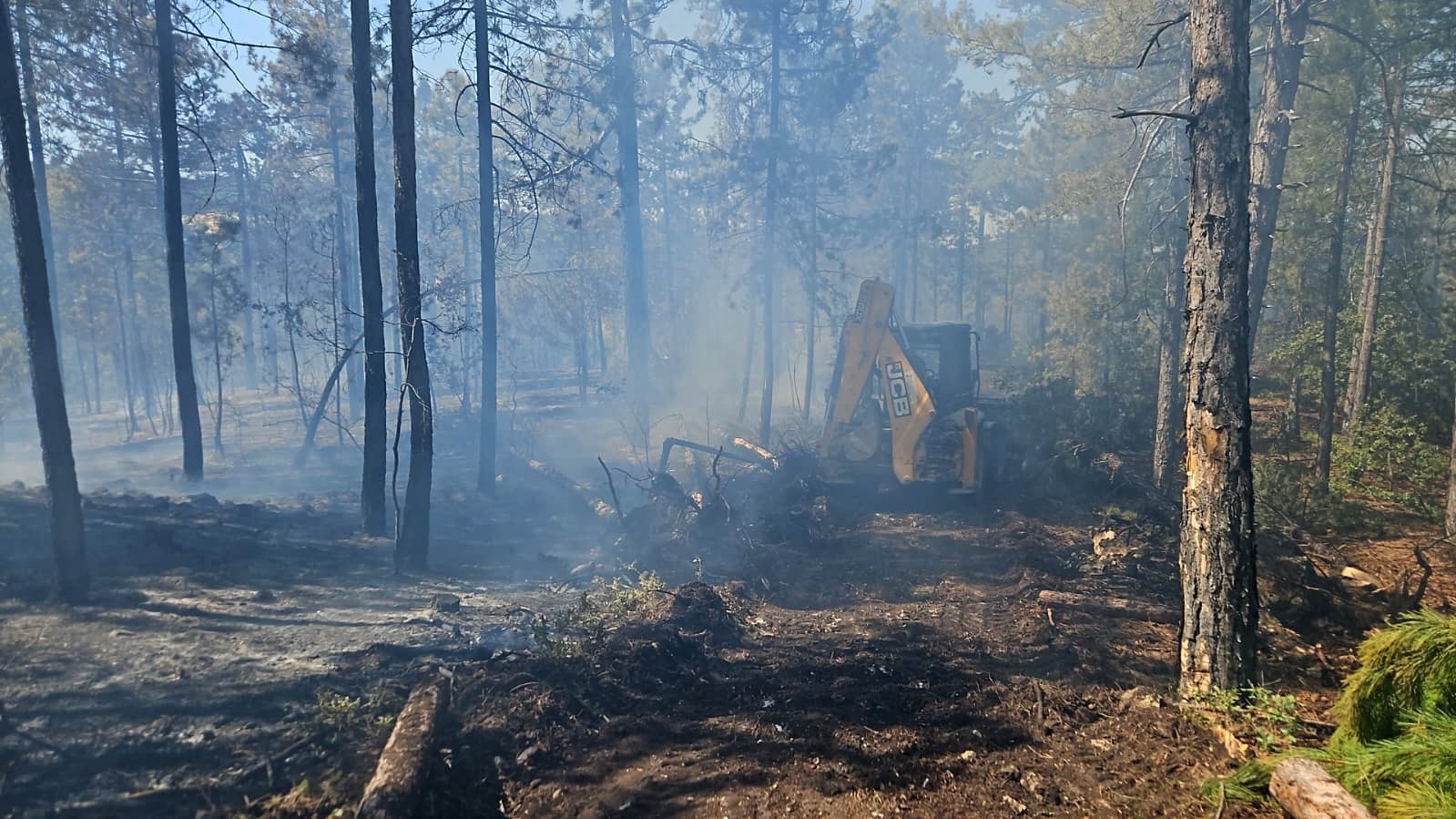Denizli&rsquo;deki orman yangınında 165 hektar alan k&uuml;l olmaktan kurtarıldı
