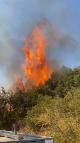 Kumluca’da örtü yangını ormanlık alana sıçramadan söndürüldü