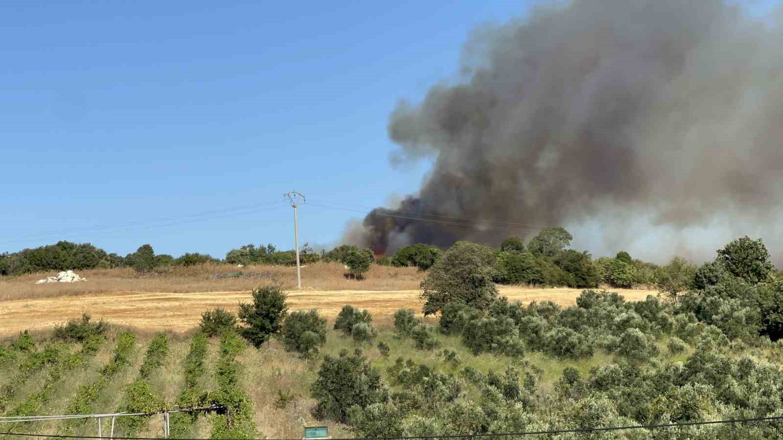 Lapseki’deki orman yangınını söndürme çalışmaları sürüyor