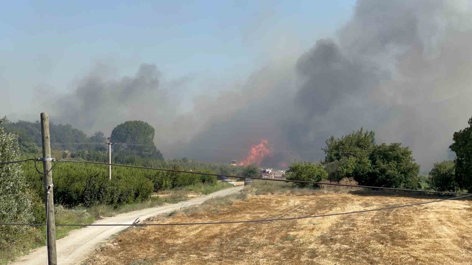 Lapseki&rsquo;deki orman yangınını s&ouml;nd&uuml;rme &ccedil;alışmaları s&uuml;r&uuml;yor
