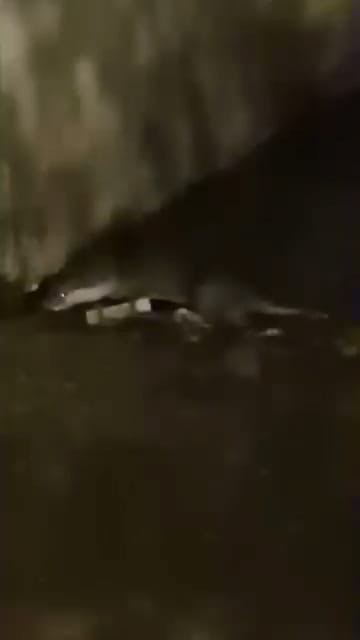 Su samurunu g&ouml;r&uuml;nt&uuml;leyen vatandaş: "Yaradana kurban olayım"
