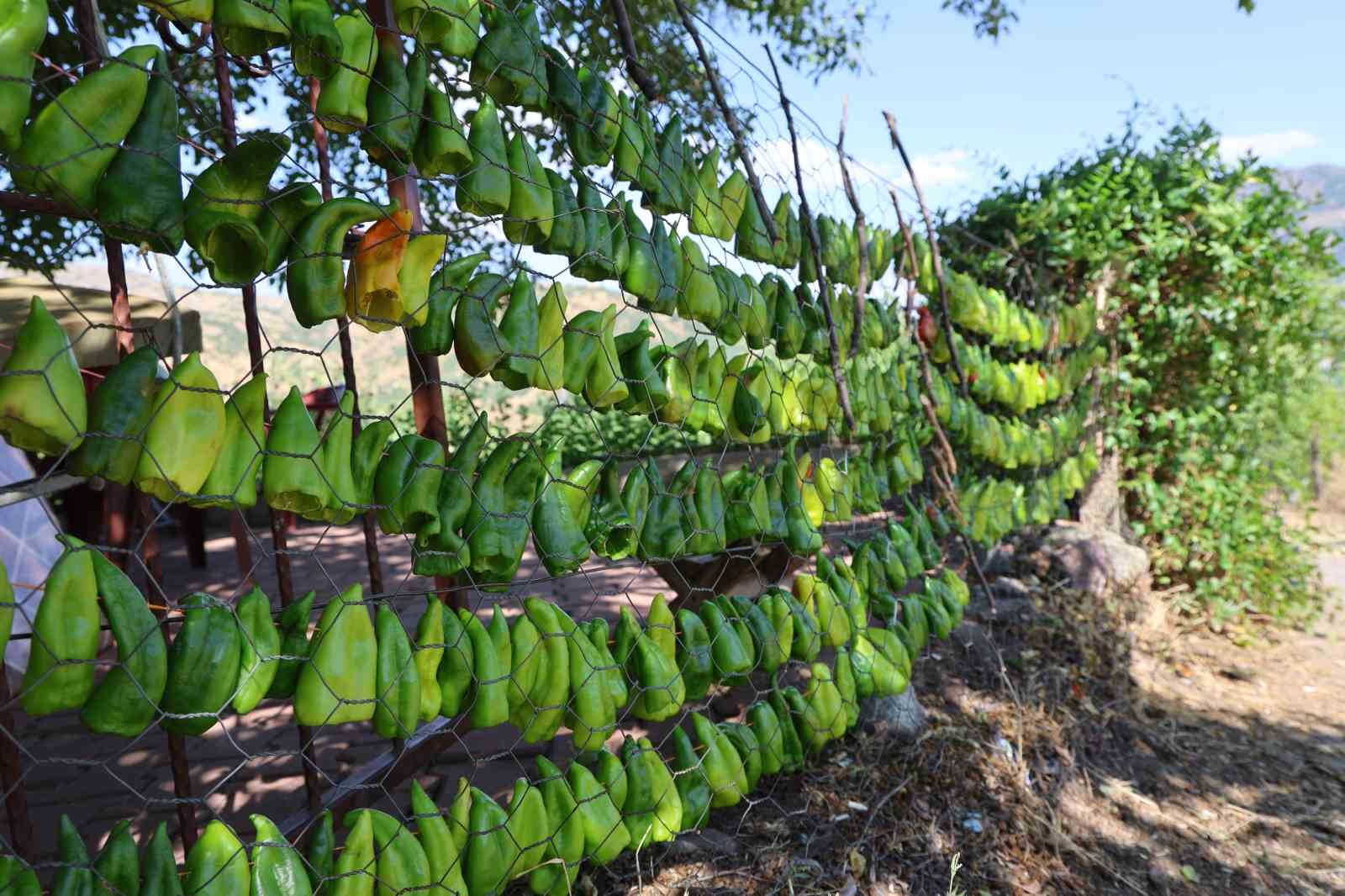 Elazığ&rsquo;da kış hazırlıkları başladı: Kofik biberler asılmaya başladı
