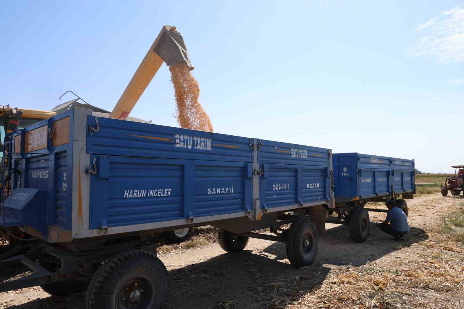 Adana’da aşırı sıcaklarda üreticilerin zorlu mesaisi