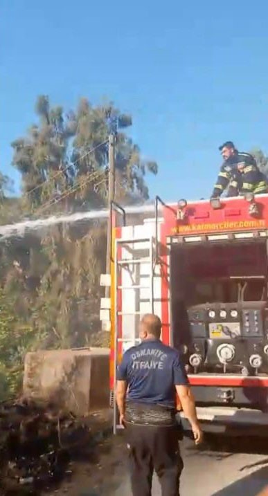 Osmaniye’de çıkan orman yangınından etkilenen kaplumbağa kurtarıldı