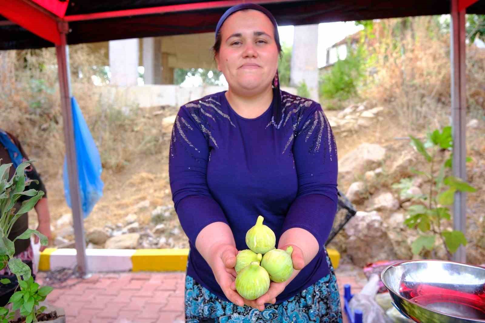 Menemen&rsquo;de Bozalan İncir Festivali heyecanı yaşanacak
