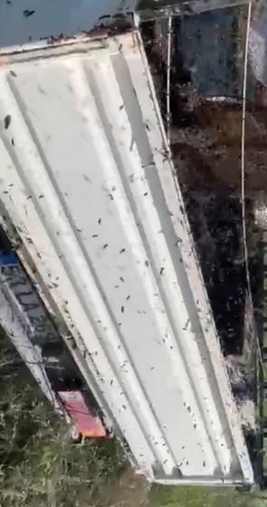 Kovan y&uuml;kl&uuml; kamyonet devrildi, arılar etrafa yayıldı

