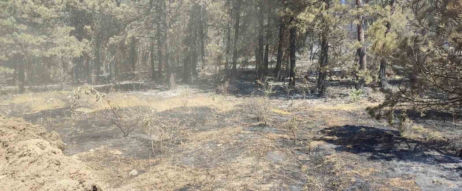 Sinop’taki orman yangınında soğutma çalışmaları sürüyor