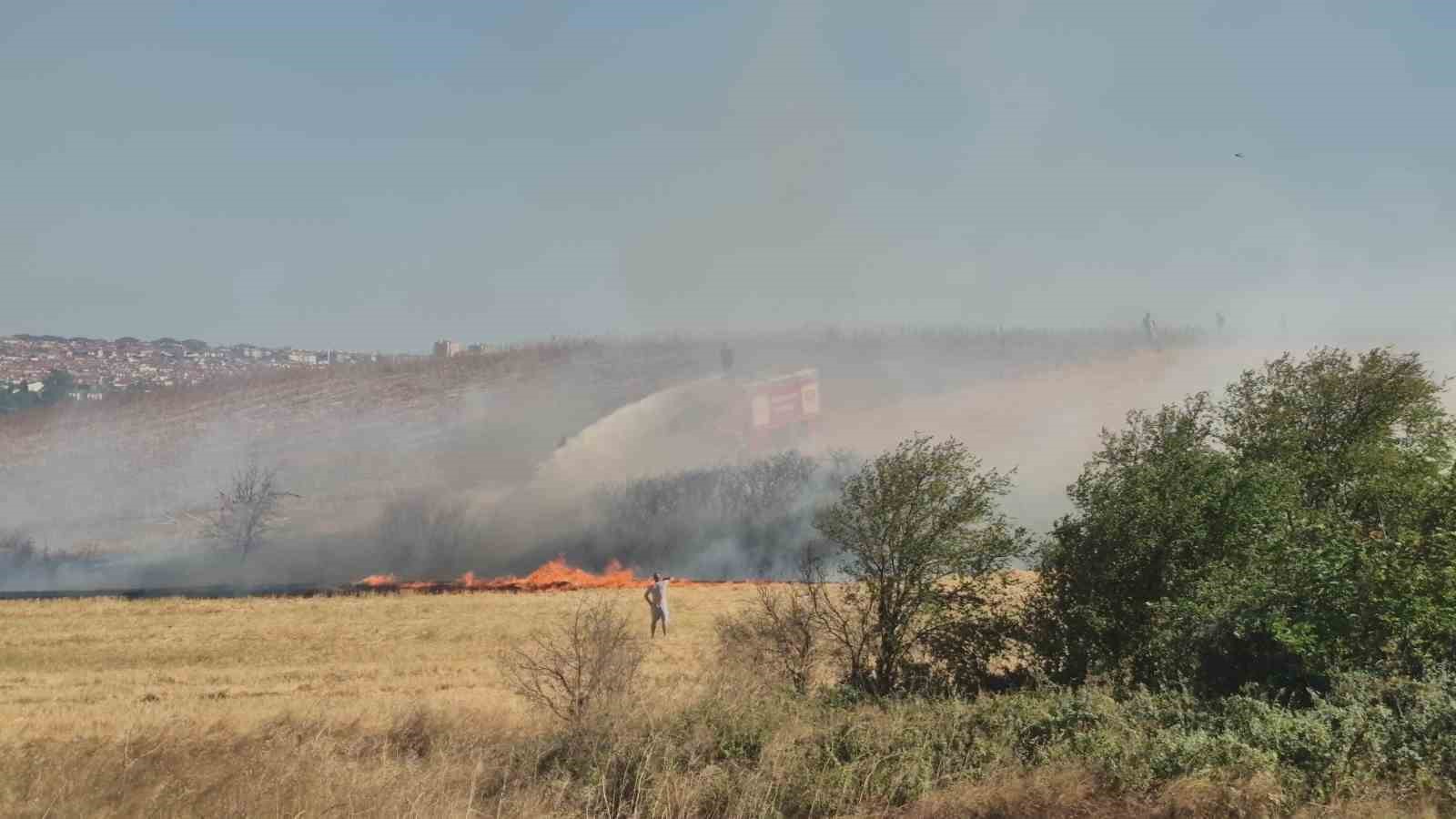 Yerleşim yeri yakınındaki çıkan anız yangını söndürüldü