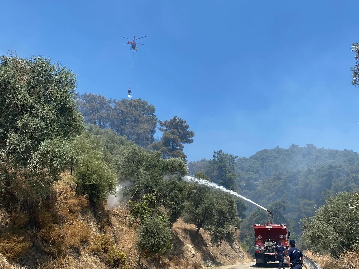 Germencik’teki orman yangını kontrol altına alındı